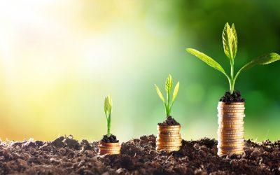 MGTŠ: Gospodarstvu letos na voljo preko 512 milijonov evrov povratnih sredstev