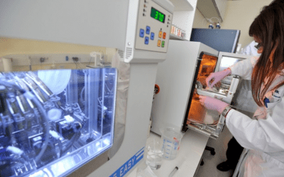 10. november – Svetovni dan znanosti za mir in razvoj