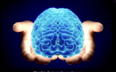 22. julij – Svetovni dan možganov