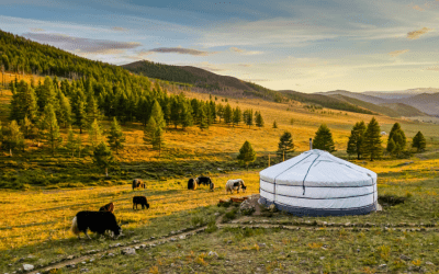 Obisk predstavnikov mongolskih podjetij v Sloveniji, 23. 11. ob 10.00, GZS